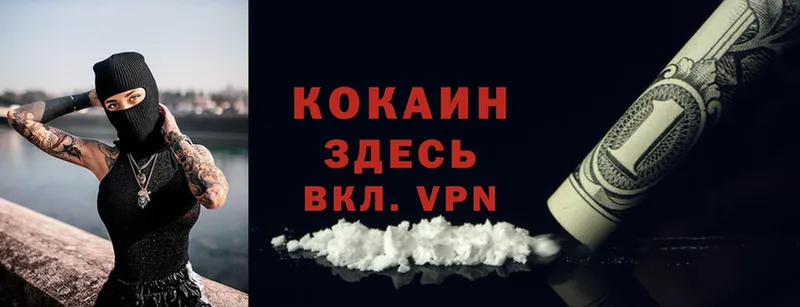 гидра вход  Каргополь  Cocaine 99% 