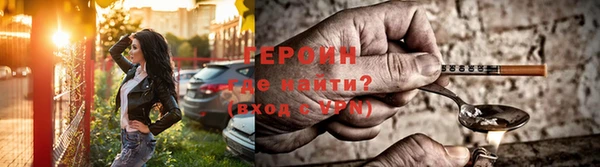 прущие грибы Наволоки