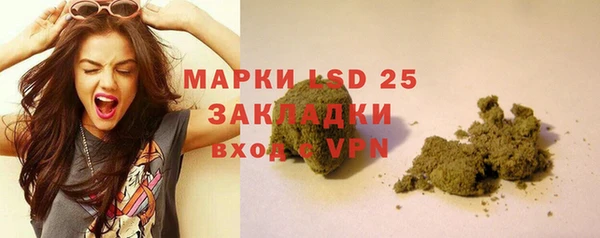 PSILOCYBIN Баксан