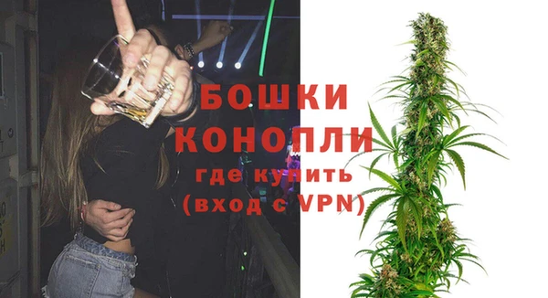 прущие грибы Наволоки