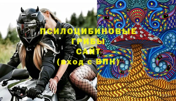 индика Михайлов
